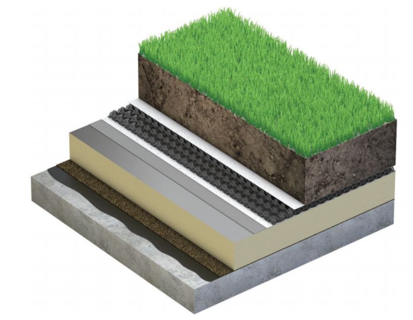 This is an image of an intensive green roof