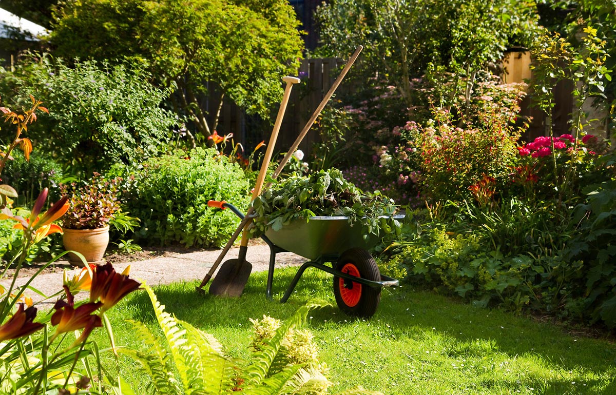 This is an image of garden maintenance