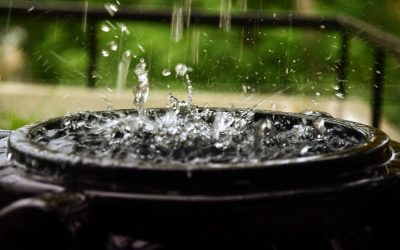 A Guide to Rainwater Harvesting
