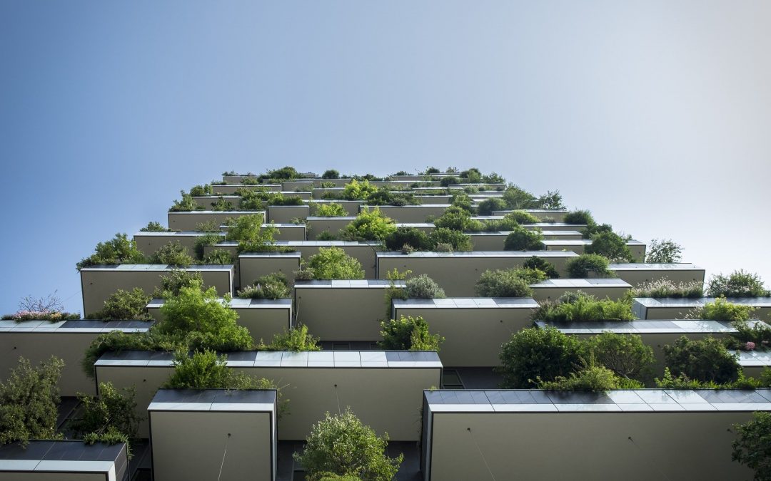 Why sustainable construction and architecture are good for business